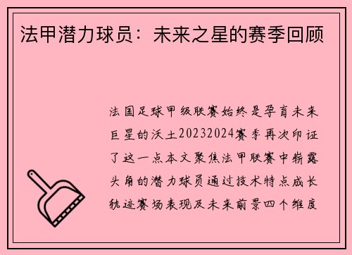 法甲潜力球员：未来之星的赛季回顾