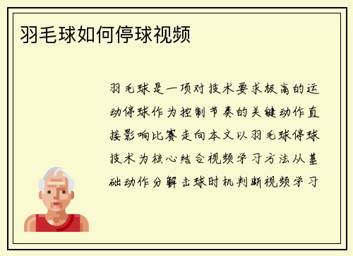 羽毛球如何停球视频