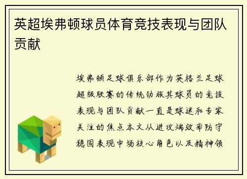 英超埃弗顿球员体育竞技表现与团队贡献